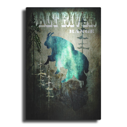 Luxe Metal Art 'Wind River III' by Lightbox Journal, Metal Wall Art