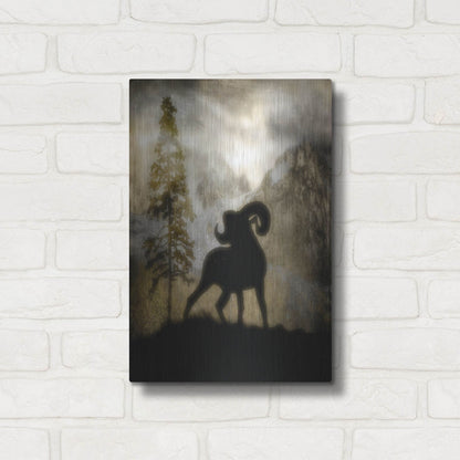 Luxe Metal Art 'Mystic Big Horn' by Lightbox Journal, Metal Wall Art,12x16