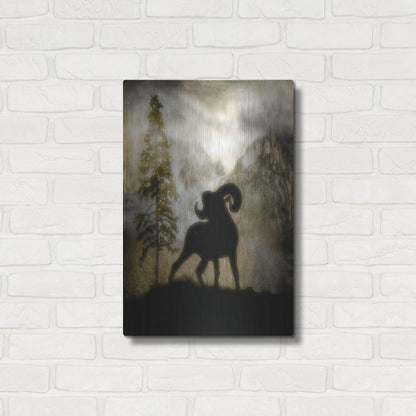 Luxe Metal Art 'Mystic Big Horn' by Lightbox Journal, Metal Wall Art,16x24