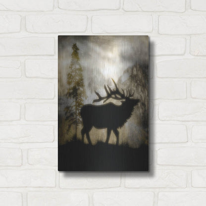 Luxe Metal Art 'Mystic Elk' by Lightbox Journal, Metal Wall Art,12x16