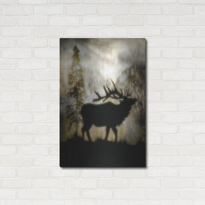 Luxe Metal Art 'Mystic Elk' by Lightbox Journal, Metal Wall Art,24x36