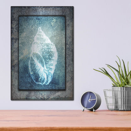 Luxe Metal Art 'Hello Beach Shell II' by Lightbox Journal, Metal Wall Art,12x16