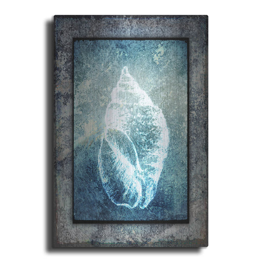 Luxe Metal Art 'Hello Beach Shell II' by Lightbox Journal, Metal Wall Art