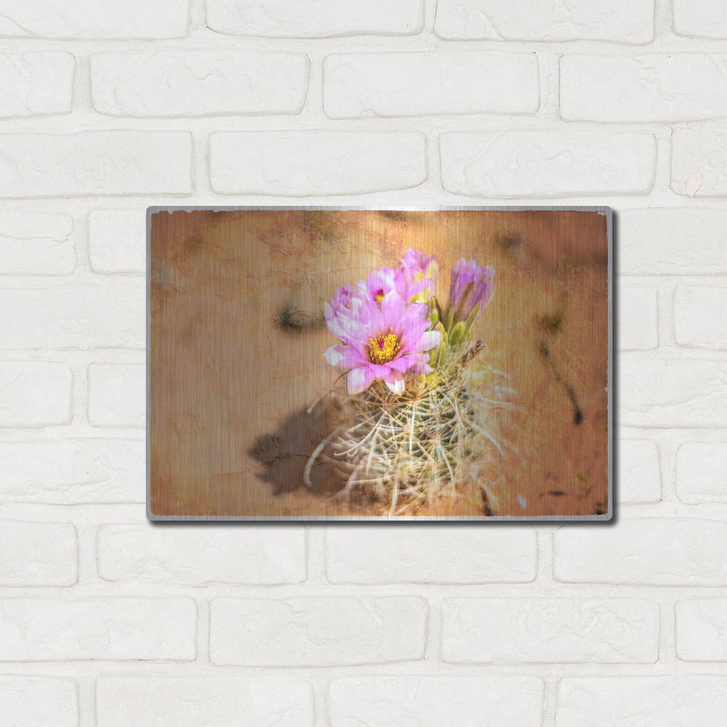 Luxe Metal Art 'Desert Flower 4' by Lightbox Journal, Metal Wall Art,16x12