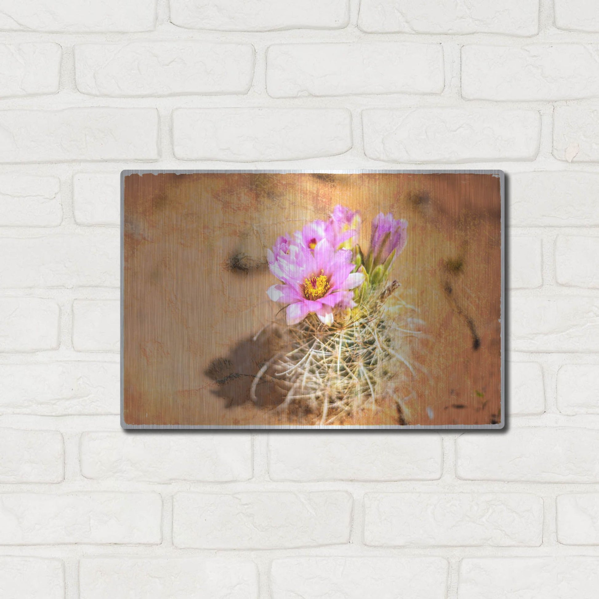 Luxe Metal Art 'Desert Flower 4' by Lightbox Journal, Metal Wall Art,16x12
