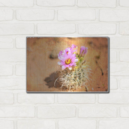 Luxe Metal Art 'Desert Flower 4' by Lightbox Journal, Metal Wall Art,16x12