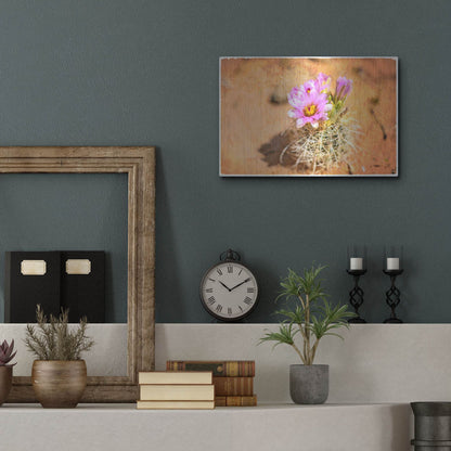 Luxe Metal Art 'Desert Flower 4' by Lightbox Journal, Metal Wall Art,16x12