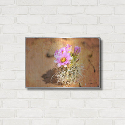 Luxe Metal Art 'Desert Flower 4' by Lightbox Journal, Metal Wall Art,24x16