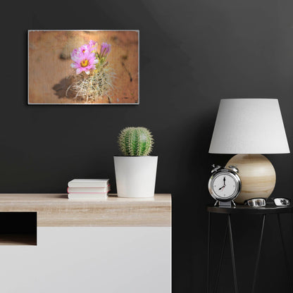 Luxe Metal Art 'Desert Flower 4' by Lightbox Journal, Metal Wall Art,24x16