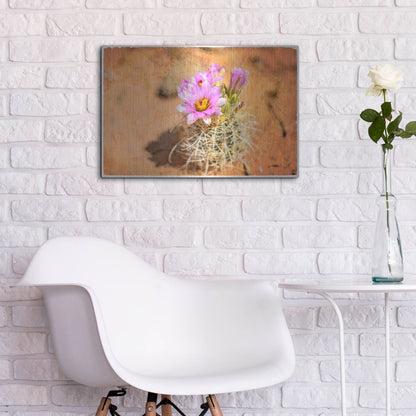 Luxe Metal Art 'Desert Flower 4' by Lightbox Journal, Metal Wall Art,24x16