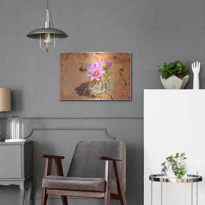 Luxe Metal Art 'Desert Flower 4' by Lightbox Journal, Metal Wall Art,24x16