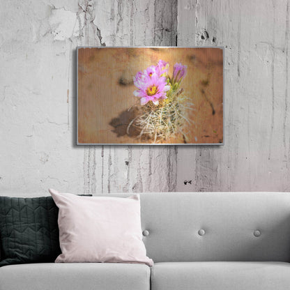 Luxe Metal Art 'Desert Flower 4' by Lightbox Journal, Metal Wall Art,36x24