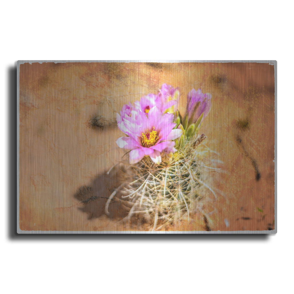 Luxe Metal Art 'Desert Flower 4' by Lightbox Journal, Metal Wall Art