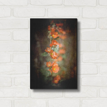 Luxe Metal Art 'Desert Flower 5' by Lightbox Journal, Metal Wall Art,12x16