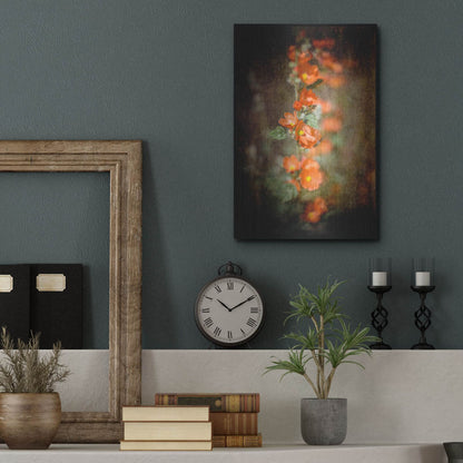 Luxe Metal Art 'Desert Flower 5' by Lightbox Journal, Metal Wall Art,12x16