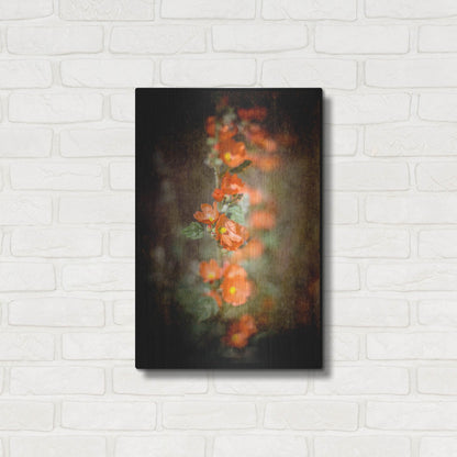 Luxe Metal Art 'Desert Flower 5' by Lightbox Journal, Metal Wall Art,16x24