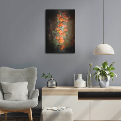 Luxe Metal Art 'Desert Flower 5' by Lightbox Journal, Metal Wall Art,16x24