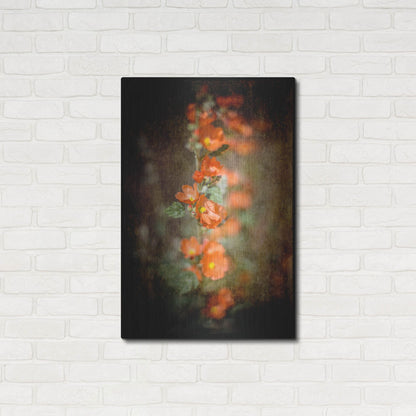 Luxe Metal Art 'Desert Flower 5' by Lightbox Journal, Metal Wall Art,24x36