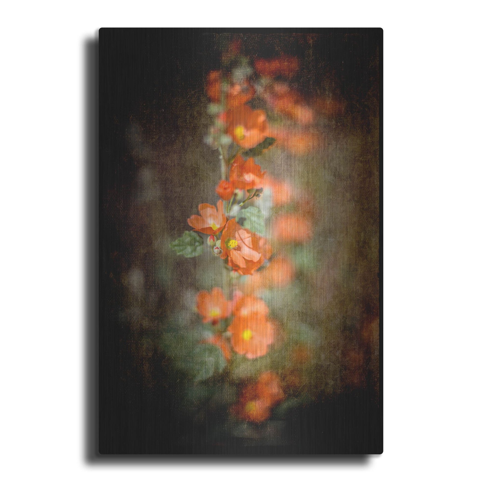 Luxe Metal Art 'Desert Flower 5' by Lightbox Journal, Metal Wall Art