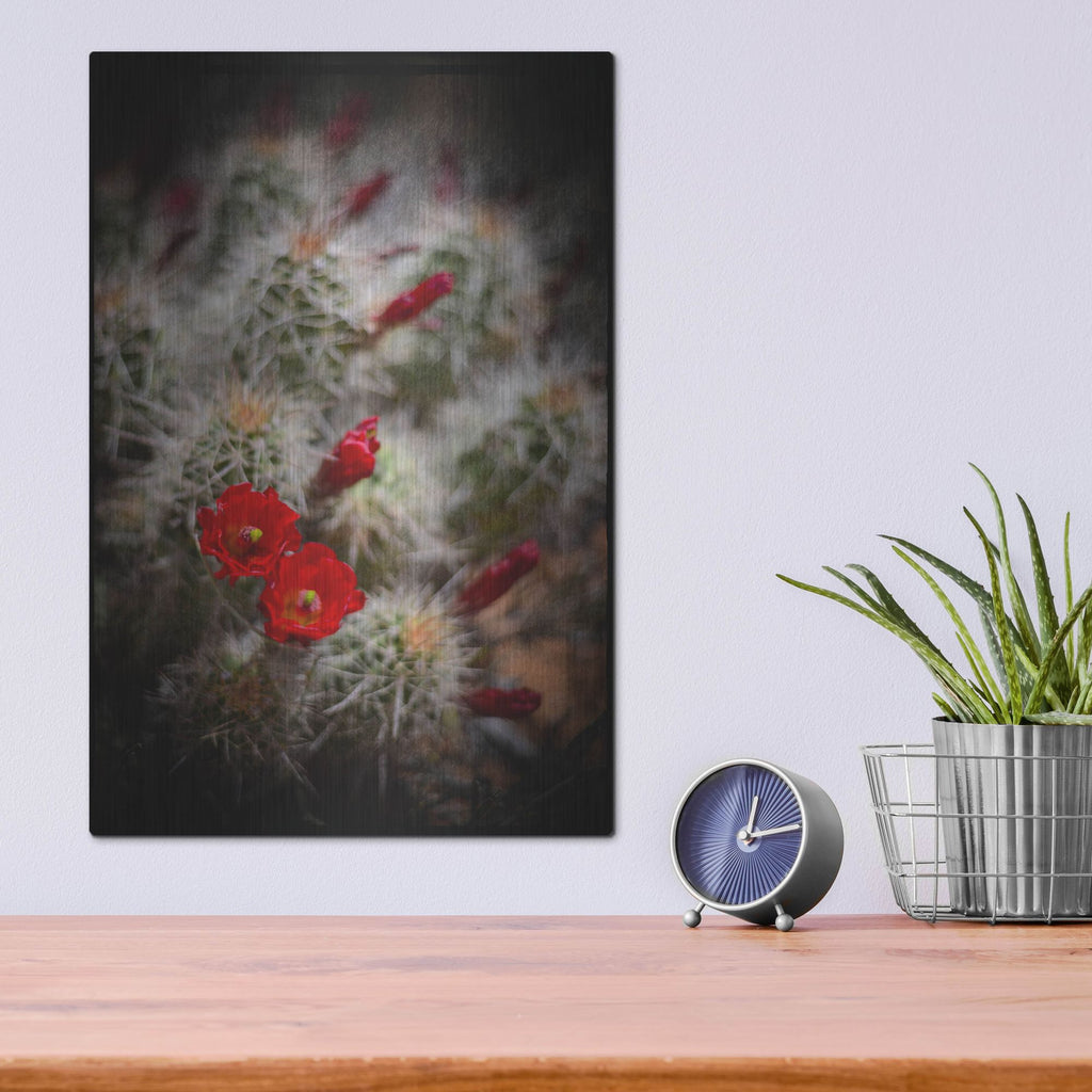 Luxe Metal Art 'Desert Flower 6' by Lightbox Journal, Metal Wall Art,12x16