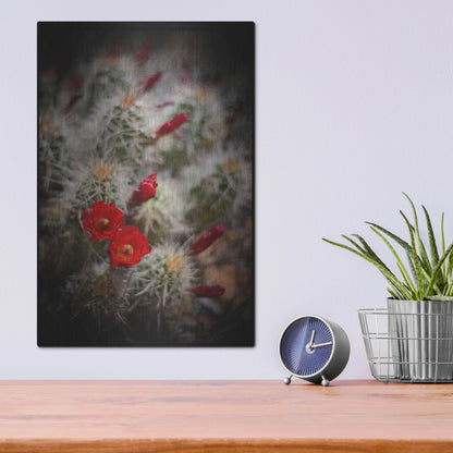 Luxe Metal Art 'Desert Flower 6' by Lightbox Journal, Metal Wall Art,12x16