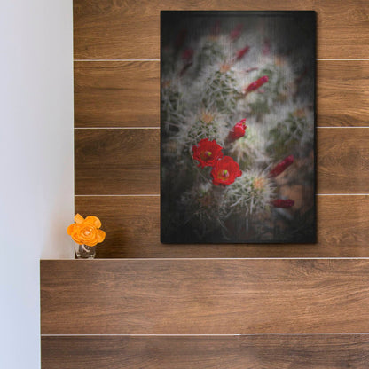 Luxe Metal Art 'Desert Flower 6' by Lightbox Journal, Metal Wall Art,12x16