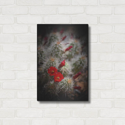 Luxe Metal Art 'Desert Flower 6' by Lightbox Journal, Metal Wall Art,16x24