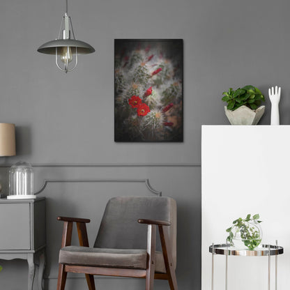 Luxe Metal Art 'Desert Flower 6' by Lightbox Journal, Metal Wall Art,16x24