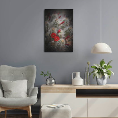 Luxe Metal Art 'Desert Flower 6' by Lightbox Journal, Metal Wall Art,16x24