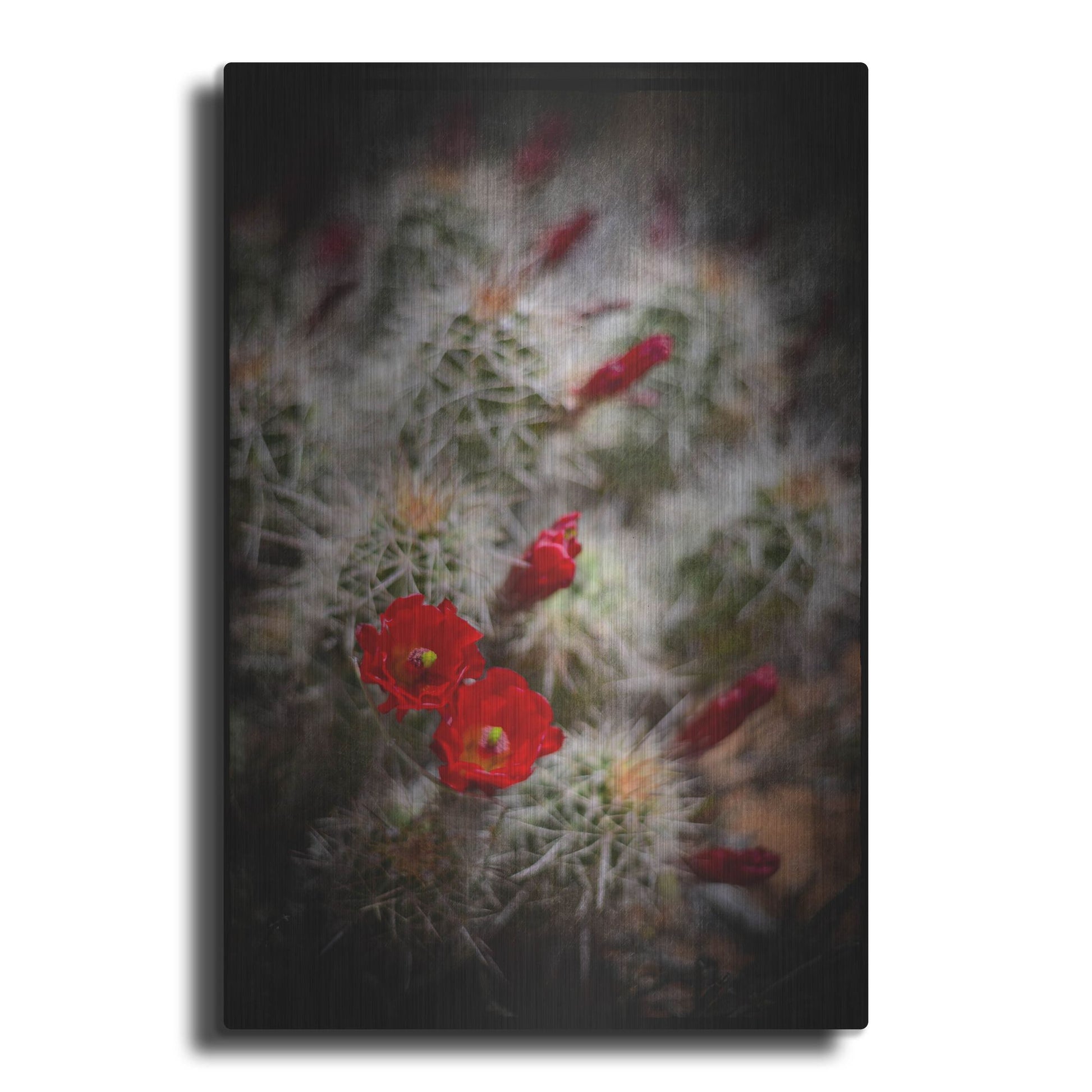 Luxe Metal Art 'Desert Flower 6' by Lightbox Journal, Metal Wall Art