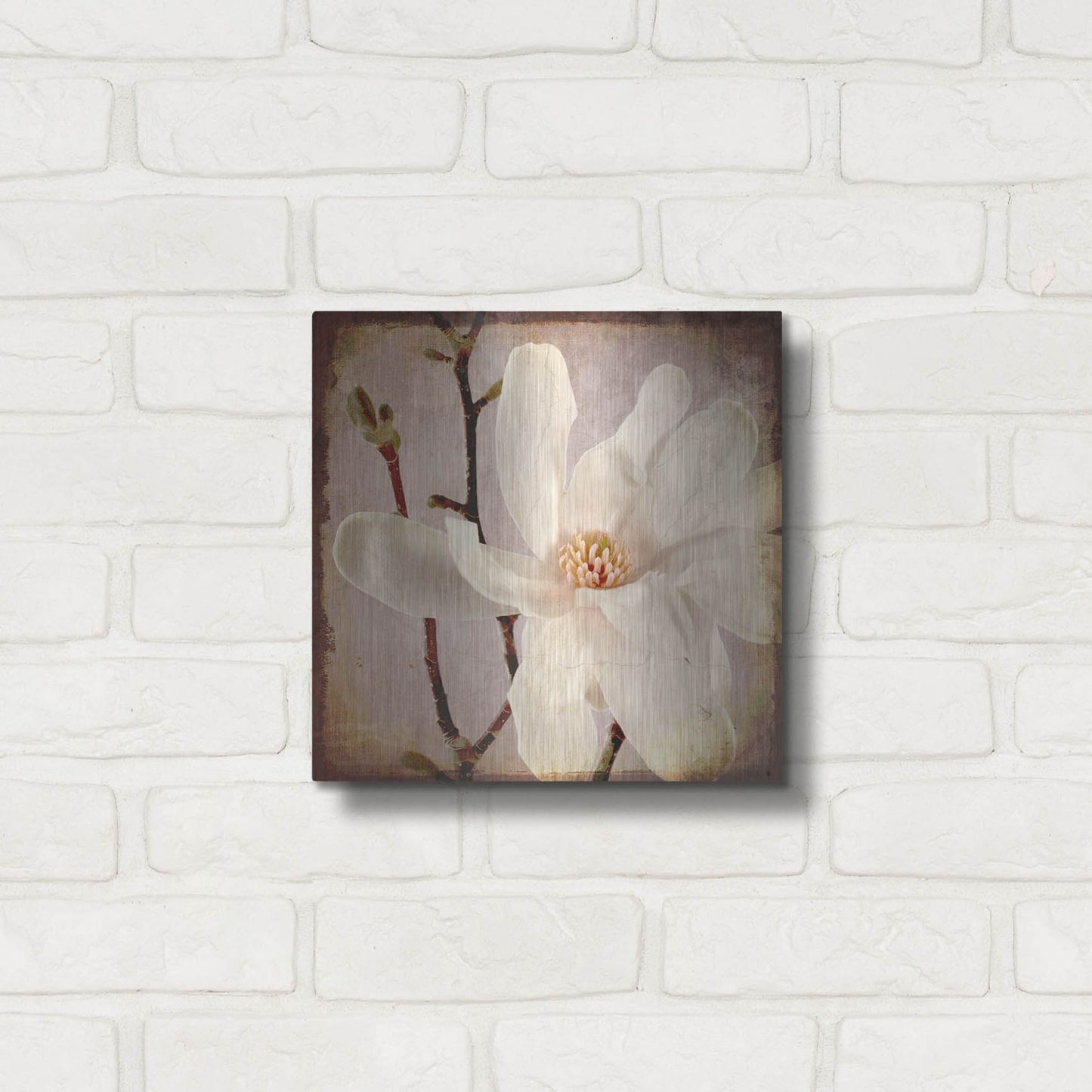 Luxe Metal Art 'Paper Magnolia Closeup' by Lightbox Journal, Metal Wall Art,12x12