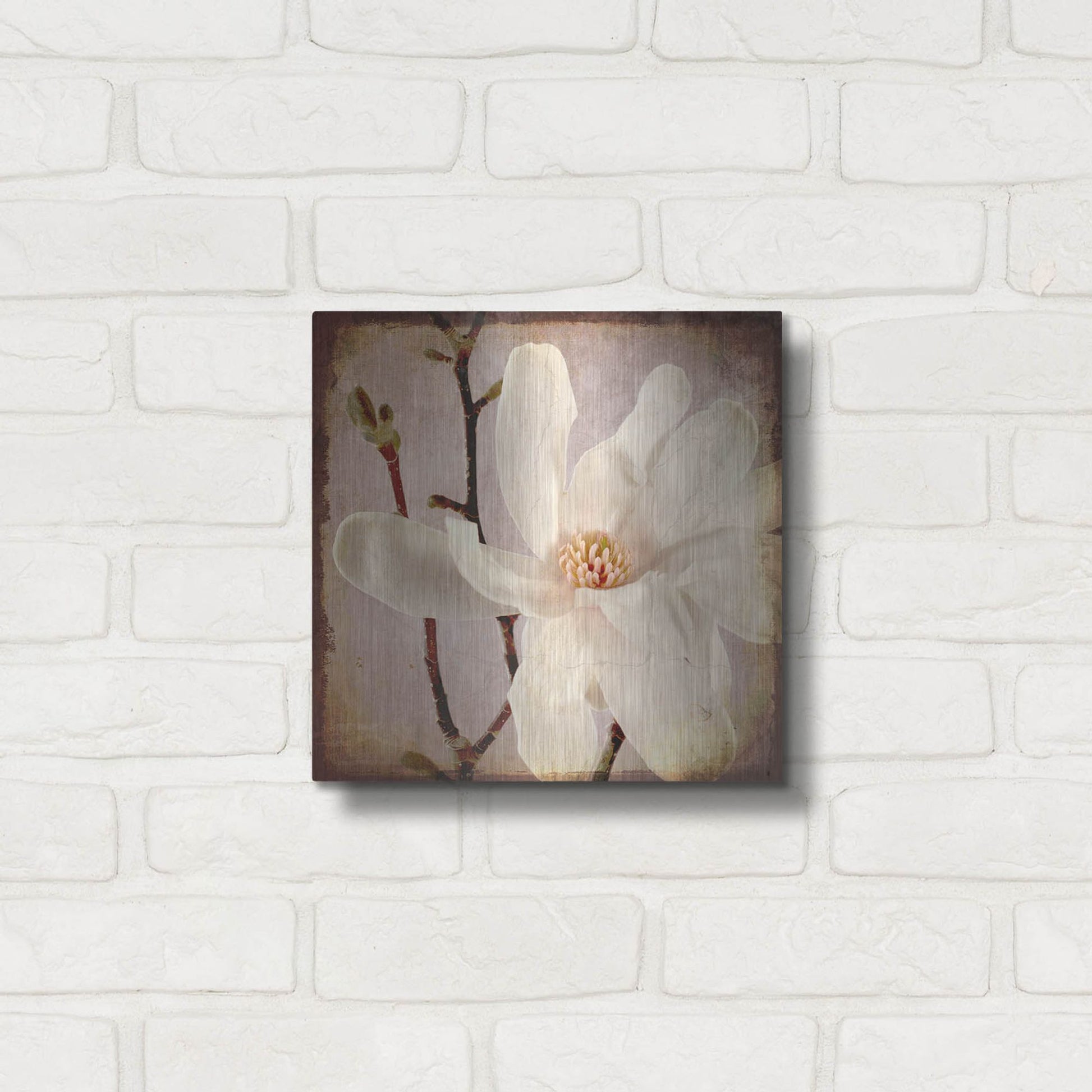 Luxe Metal Art 'Paper Magnolia Closeup' by Lightbox Journal, Metal Wall Art,12x12