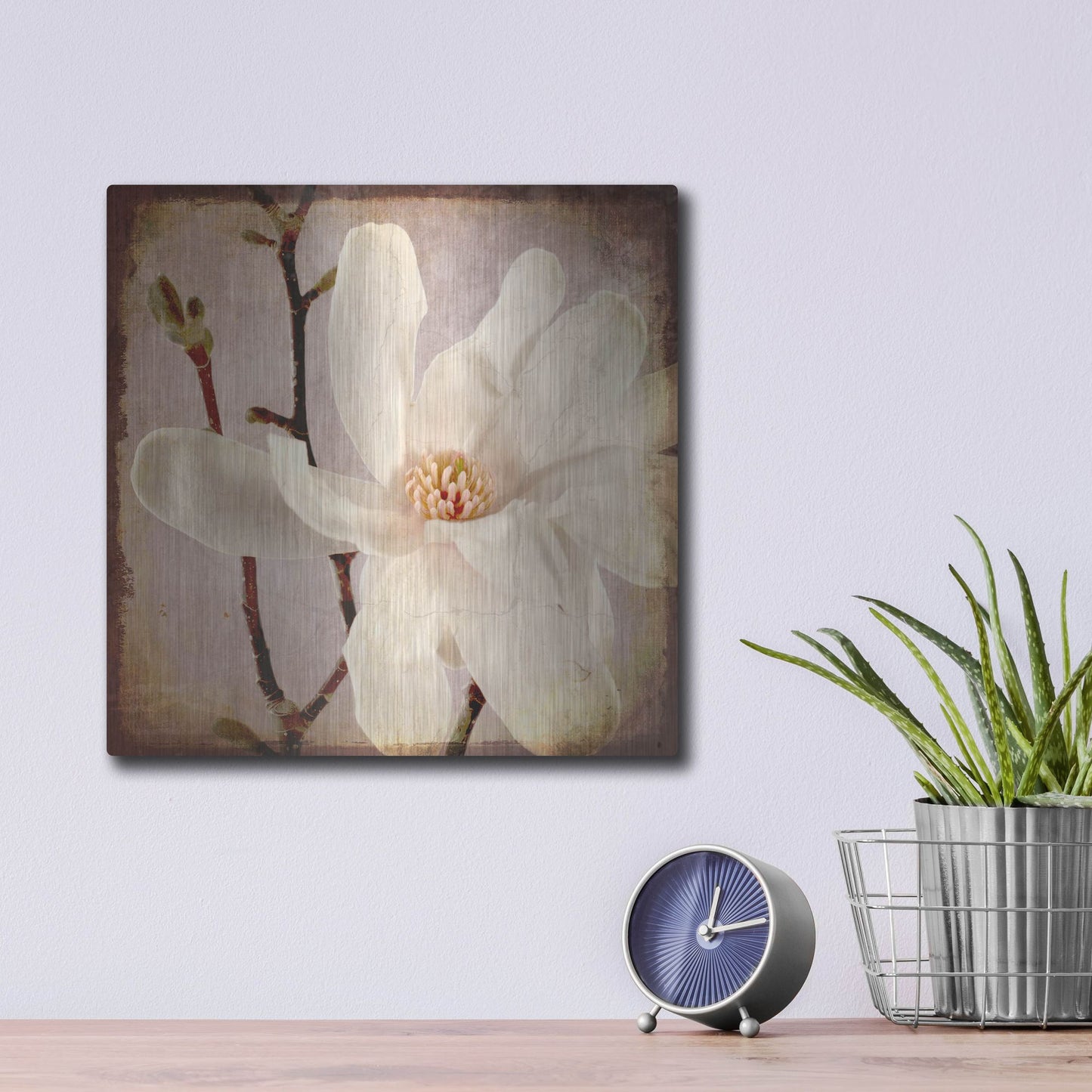 Luxe Metal Art 'Paper Magnolia Closeup' by Lightbox Journal, Metal Wall Art,12x12