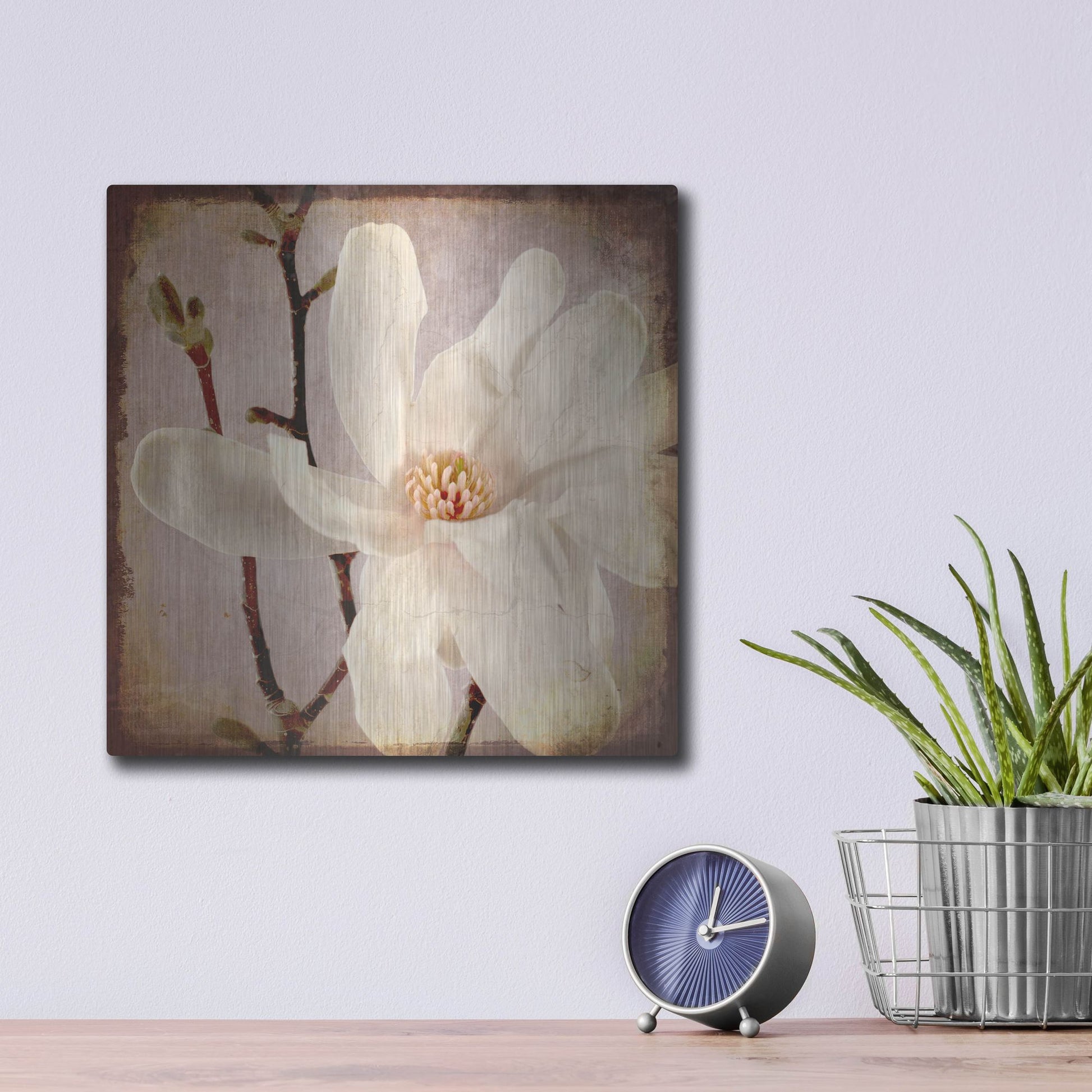Luxe Metal Art 'Paper Magnolia Closeup' by Lightbox Journal, Metal Wall Art,12x12