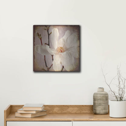 Luxe Metal Art 'Paper Magnolia Closeup' by Lightbox Journal, Metal Wall Art,12x12