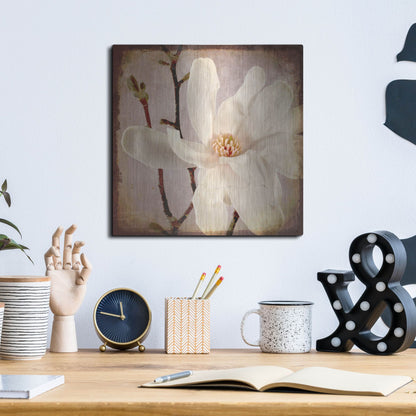 Luxe Metal Art 'Paper Magnolia Closeup' by Lightbox Journal, Metal Wall Art,12x12