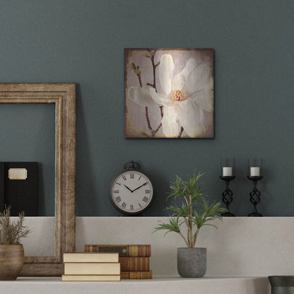 Luxe Metal Art 'Paper Magnolia Closeup' by Lightbox Journal, Metal Wall Art,12x12