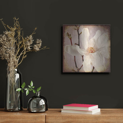 Luxe Metal Art 'Paper Magnolia Closeup' by Lightbox Journal, Metal Wall Art,12x12