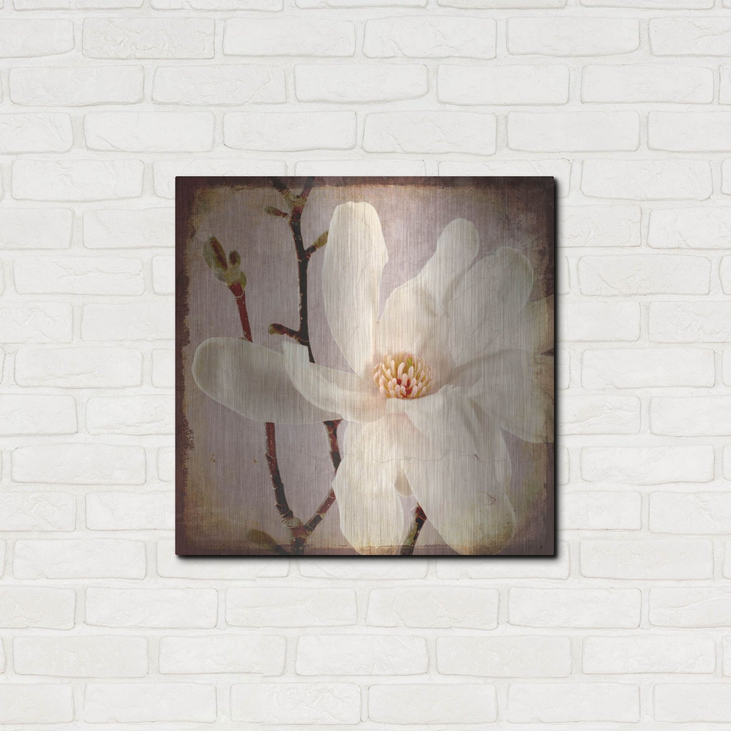 Luxe Metal Art 'Paper Magnolia Closeup' by Lightbox Journal, Metal Wall Art,24x24