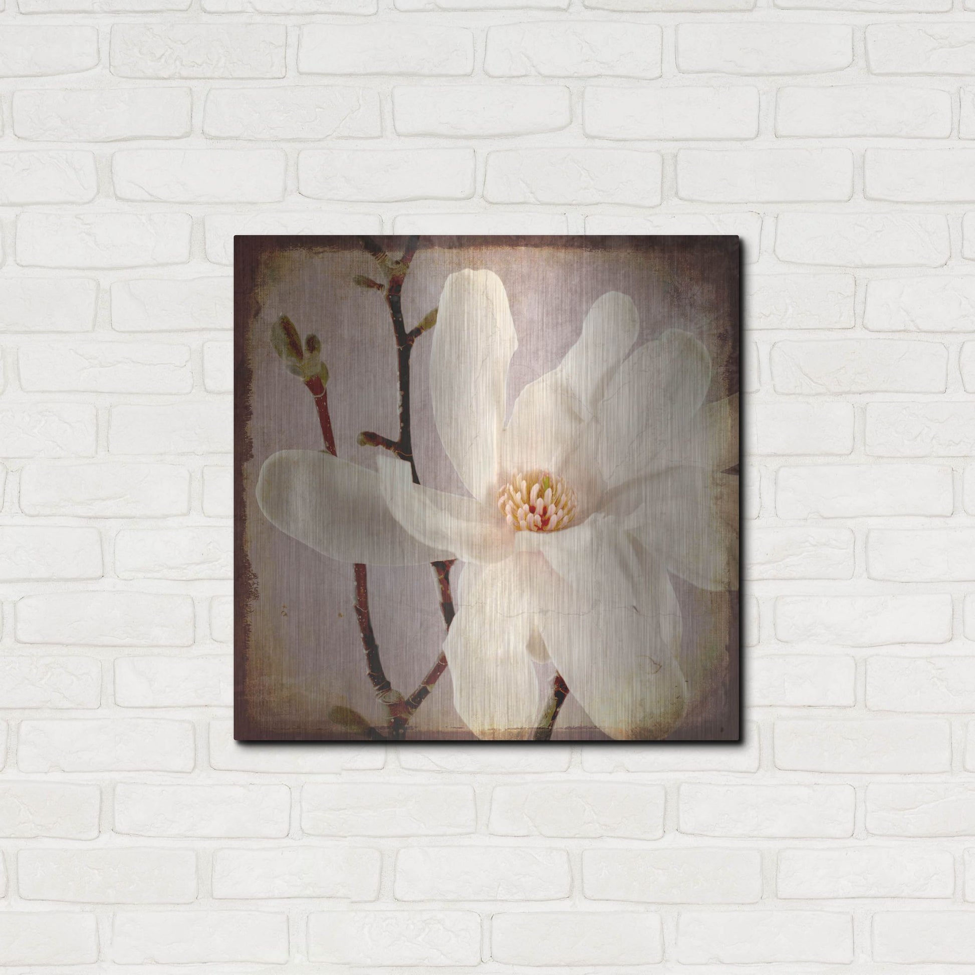 Luxe Metal Art 'Paper Magnolia Closeup' by Lightbox Journal, Metal Wall Art,24x24