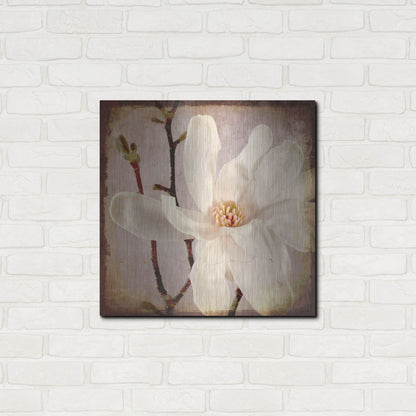 Luxe Metal Art 'Paper Magnolia Closeup' by Lightbox Journal, Metal Wall Art,24x24