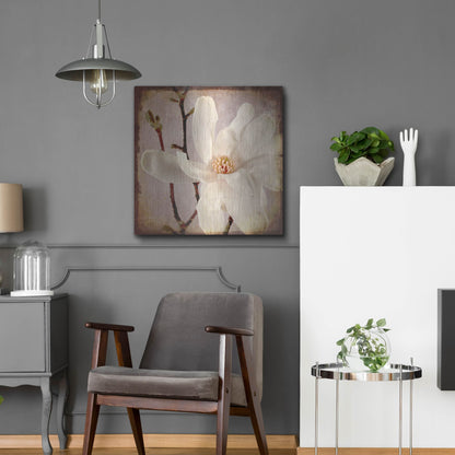 Luxe Metal Art 'Paper Magnolia Closeup' by Lightbox Journal, Metal Wall Art,24x24