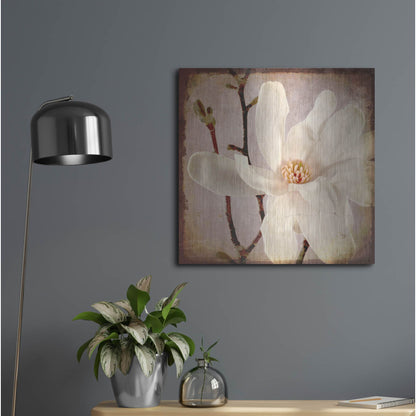 Luxe Metal Art 'Paper Magnolia Closeup' by Lightbox Journal, Metal Wall Art,24x24