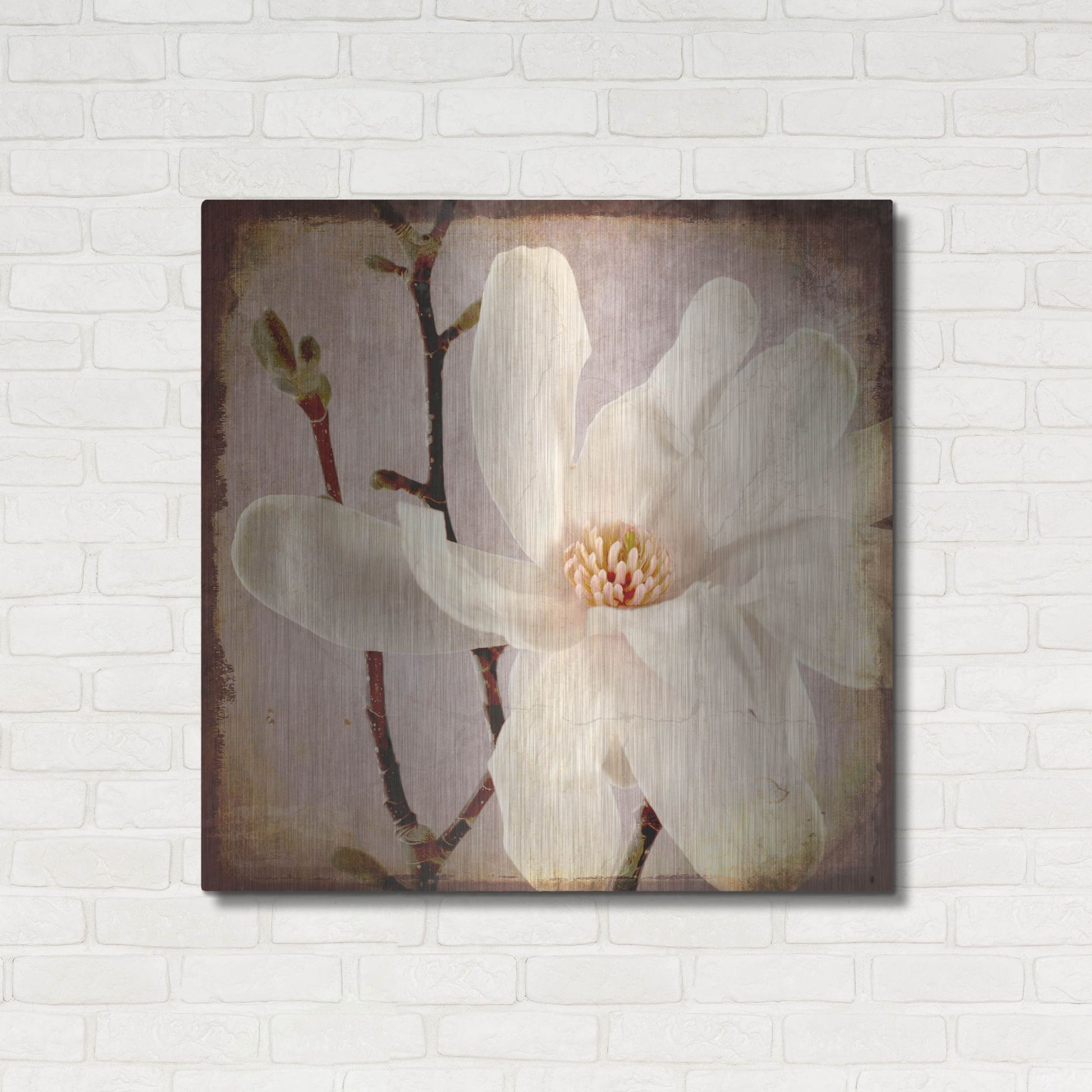 Luxe Metal Art 'Paper Magnolia Closeup' by Lightbox Journal, Metal Wall Art,36x36