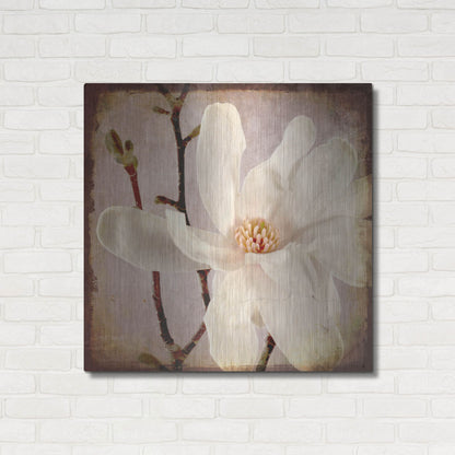 Luxe Metal Art 'Paper Magnolia Closeup' by Lightbox Journal, Metal Wall Art,36x36