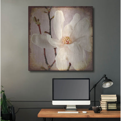 Luxe Metal Art 'Paper Magnolia Closeup' by Lightbox Journal, Metal Wall Art,36x36