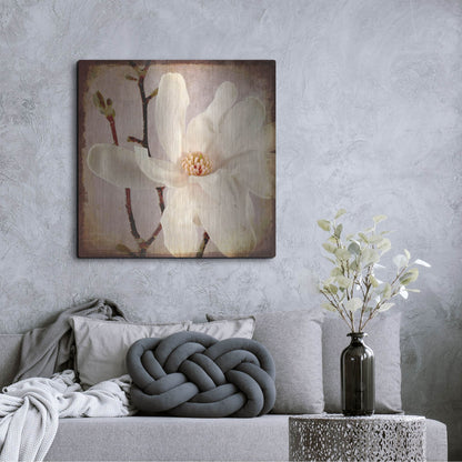 Luxe Metal Art 'Paper Magnolia Closeup' by Lightbox Journal, Metal Wall Art,36x36