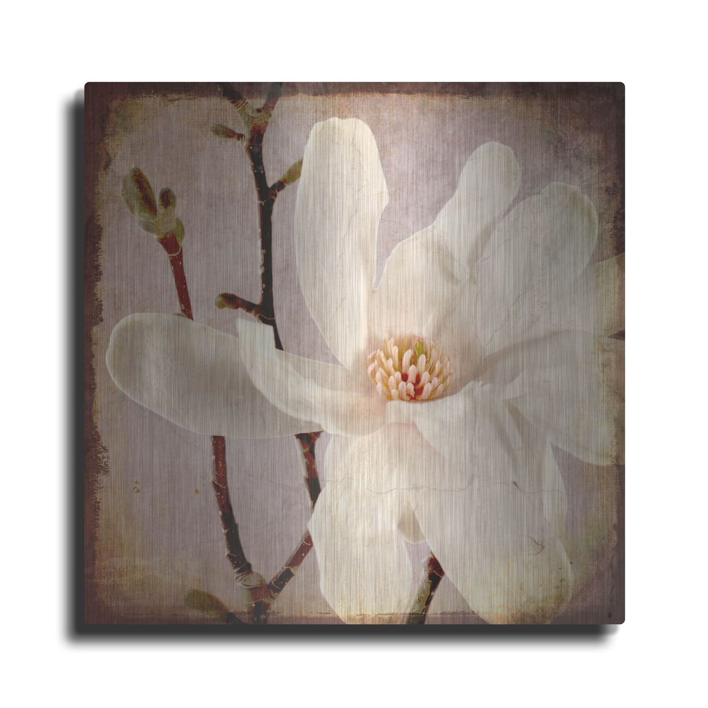 Luxe Metal Art 'Paper Magnolia Closeup' by Lightbox Journal, Metal Wall Art