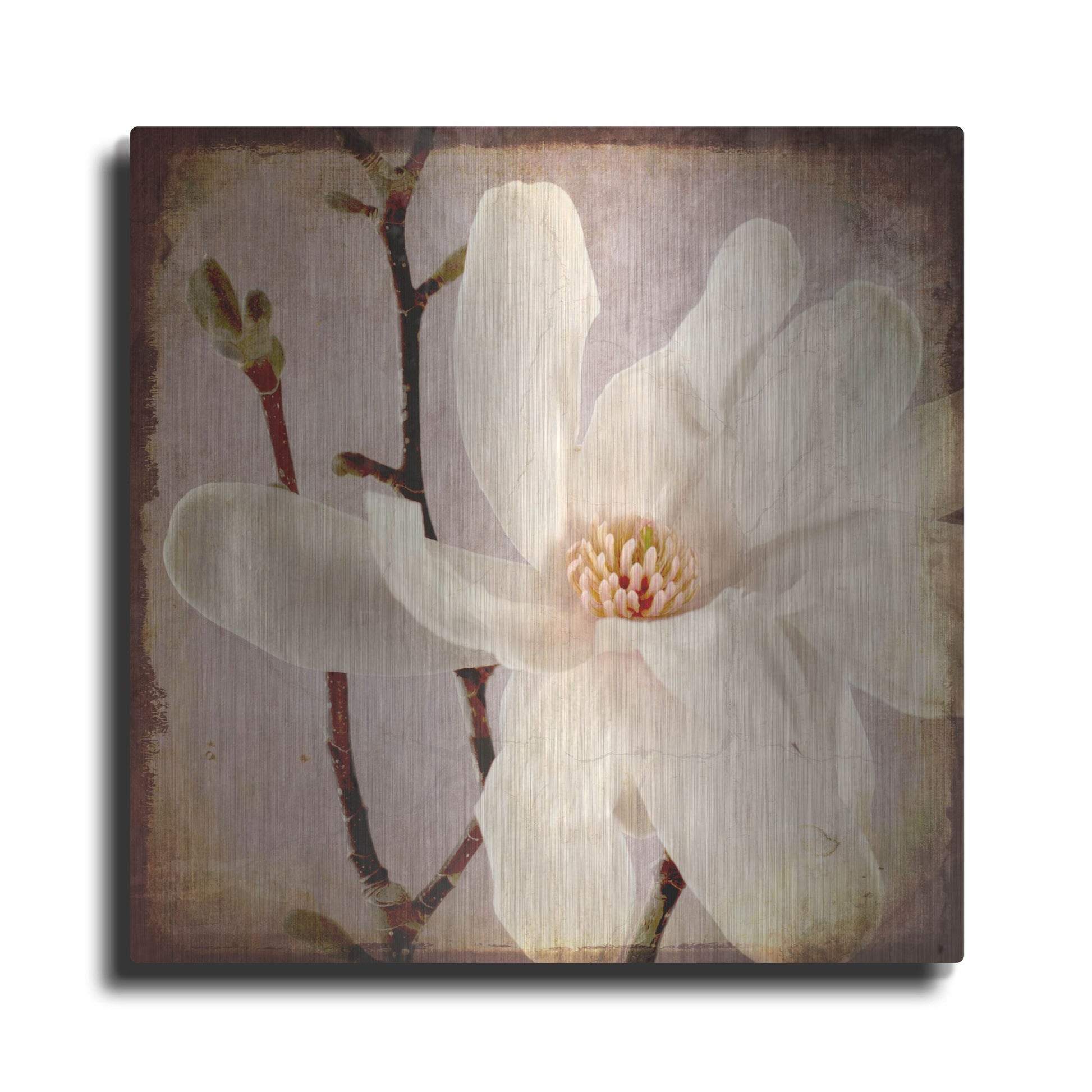 Luxe Metal Art 'Paper Magnolia Closeup' by Lightbox Journal, Metal Wall Art