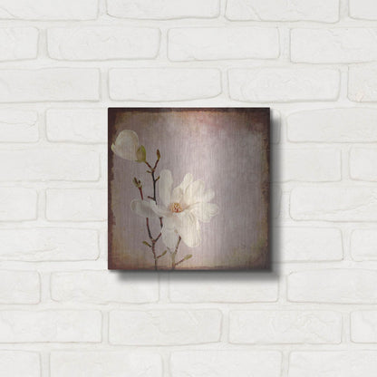 Luxe Metal Art 'Paper Magnolia Duo' by Lightbox Journal, Metal Wall Art,12x12